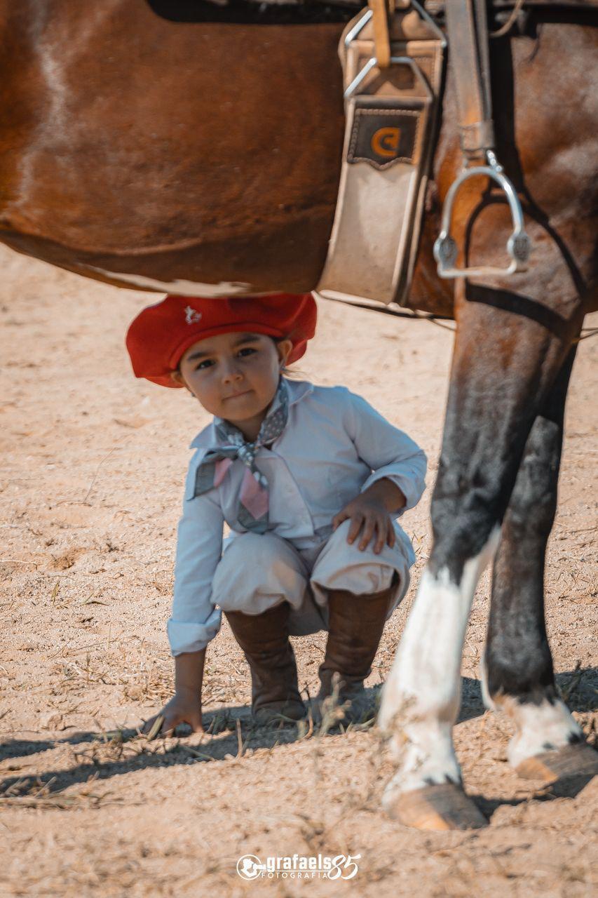 Campo